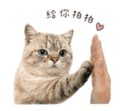 839615159