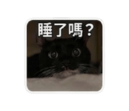 839615306