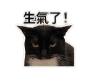 839615312