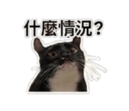 839615314