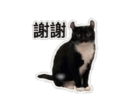 839615320