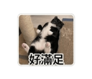 839615322