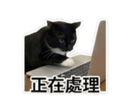839615326