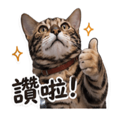 839615355