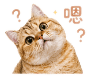 839615881