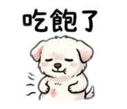 839616223