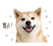 839616580