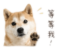 839616581