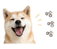 839616584