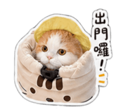839617067