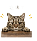839617111