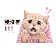 839617280