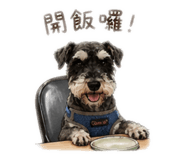 839617355