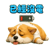 839617706