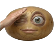 839618529