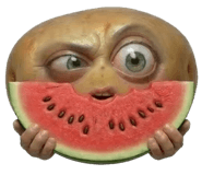 839618538