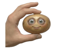839618565