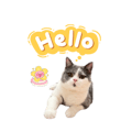 839619001