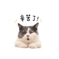 839619003