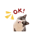 839619004