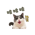 839619006