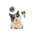 839619008