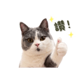839619010