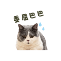 839619011