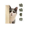 839619012