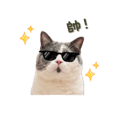839619016