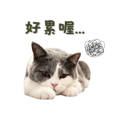 839619017