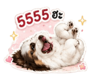 839620766