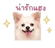 839620966