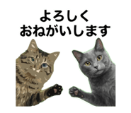 839621398