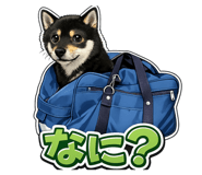839621628