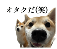 839621924