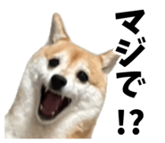 839621926
