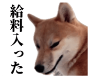 839621932