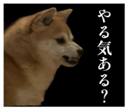 839621933