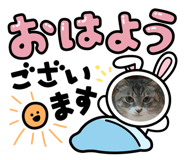 839622525