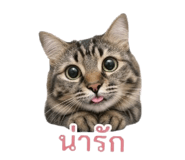 839623124