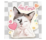 839624154