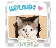 839624155