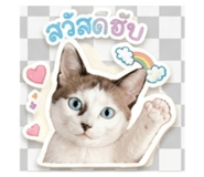 839624158