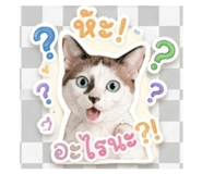 839624160