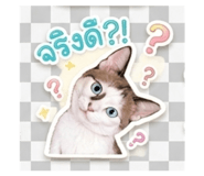839624165