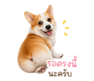 839624943