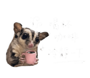 839626124