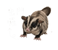 839626130