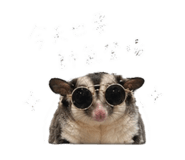 839626139